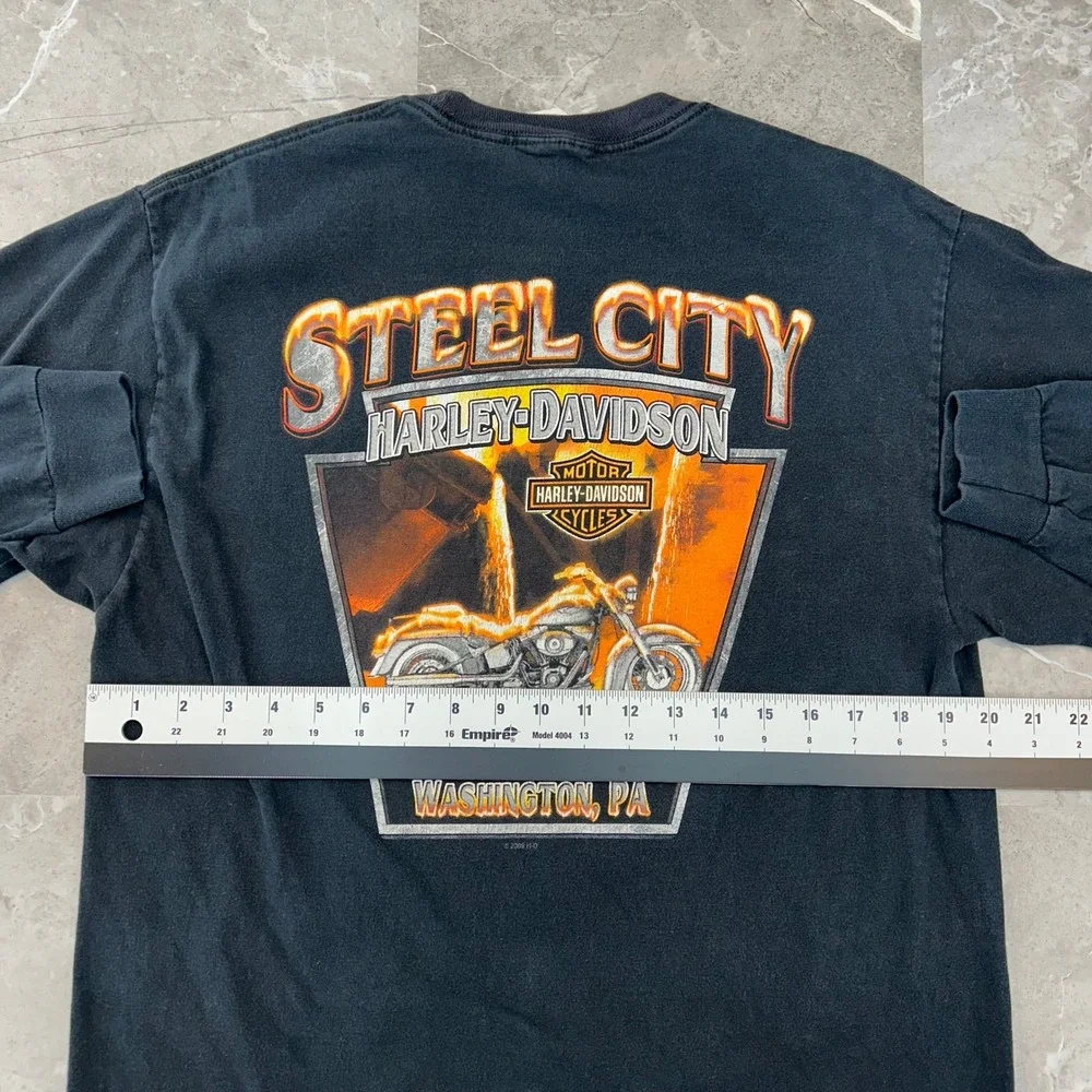 Harley Davidson Jester Graphic Tee Mens Large Flames Sleeve Hit Faded Shirt 2010